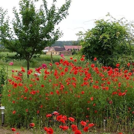 Апартаменты Ruhige Fewo Im Gruenen Mit Balkon, Terrasse Und Grossem Garten Sehlen Экстерьер фото