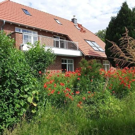 Апартаменты Ruhige Fewo Im Gruenen Mit Balkon, Terrasse Und Grossem Garten Sehlen Экстерьер фото